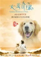 Ȯ澉
