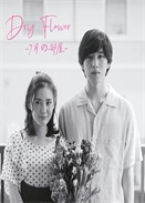 DryFlowerµķg