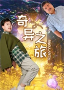 殐֮